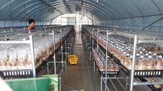 김민화님의 시금치 · 일상 작성글 사진