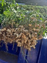 팜모닝 우리동네·동네수다 게시글 이미지