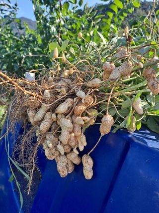 창공 귀농귀촌 초보님의 우리동네 · 동네수다 작성글 사진