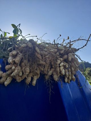 창공 귀농귀촌 초보님의 우리동네 · 동네수다 작성글 사진