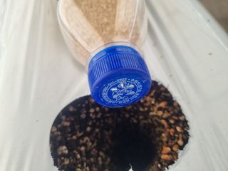 서선희님의 딸기 · 영농일지 작성글 사진