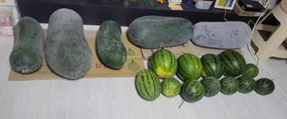 원빈님의 자유주제 · 자유게시판 작성글 사진