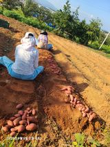 팜모닝 · 게시글 이미지