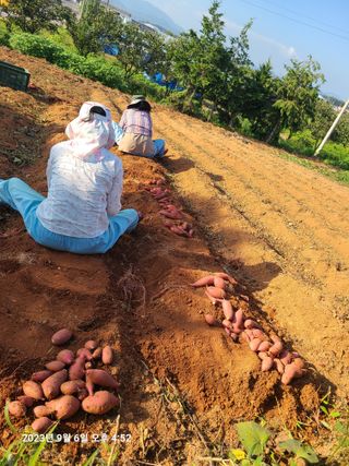 자연인님의 작성글 사진
