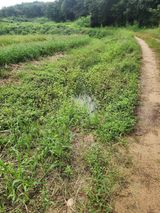 팜모닝 농자재정보·제품정보 게시글 이미지