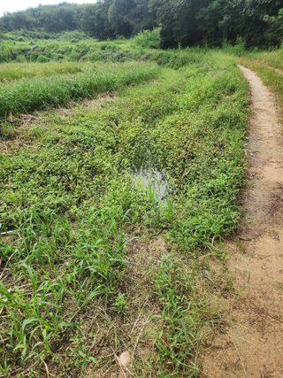 조정훈님의 농자재정보 · 제품정보 작성글 사진