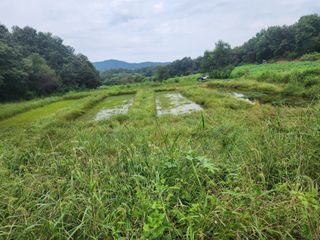 조정훈님의 농자재정보 · 제품정보 작성글 사진