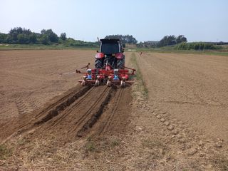 유상열님의 파 · 자유게시판 작성글 사진