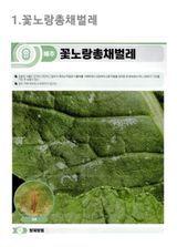 팜모닝 배추·병해충상담 게시글 이미지