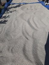 팜모닝 9월 내 작물 자랑하기·참여글 게시글 이미지