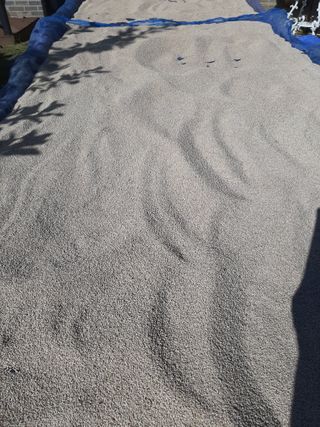 서상기 은퇴농장님의 9월 내 작물 자랑하기 · 참여글 작성글 사진