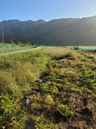 다소농원님의 9월 내 작물 자랑하기 · 참여글 작성글 사진