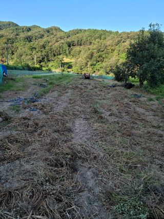 다소농원님의 9월 내 작물 자랑하기 · 참여글 작성글 사진