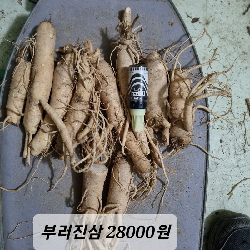 모두팜님의 장터 판매 상품 [6년근 인삼 판매합니다 750g] 첨부 사진