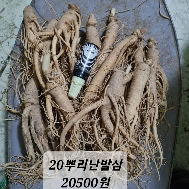 모두팜님의 장터 판매 상품 [6년근 인삼 판매합니다 750g] 첨부 사진