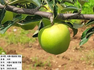 양금님의 9월 내 작물 자랑하기 · 참여글 작성글 사진