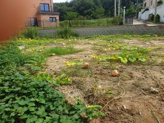 만대산후손님의 9월 내 작물 자랑하기 · 참여글 작성글 사진