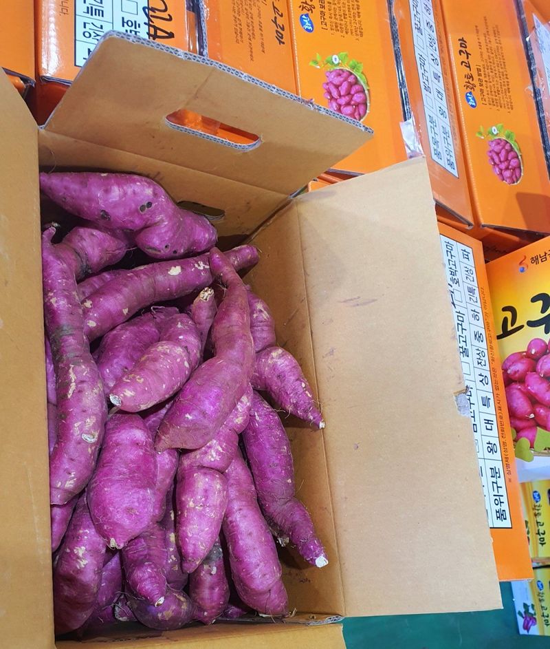 장금이1님의 장터 판매 상품 [햇꿀밤고구마꼬불이10kg23.000  마감] 첨부 사진