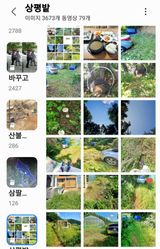 팜모닝 자유주제·사진전 게시글 이미지