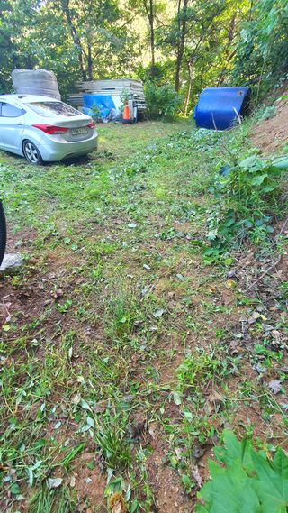 박¿일님의 자유주제 · 사진전 작성글 사진