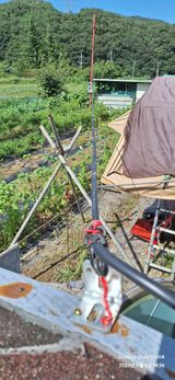 팜모닝 자유주제·자유게시판 게시글 이미지