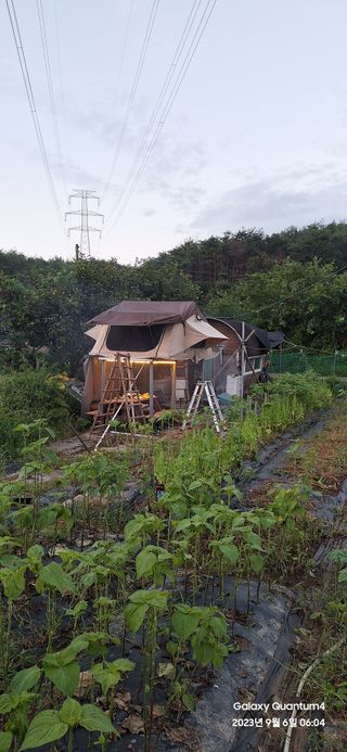 도시농부님의 자유주제 · 자유게시판 작성글 사진