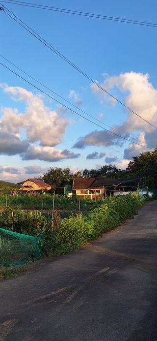 도시농부님의 자유주제 · 자유게시판 작성글 사진