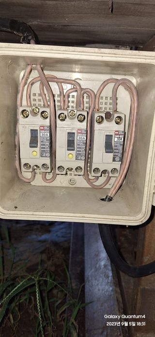 도시농부님의 자유주제 · 자유게시판 작성글 사진