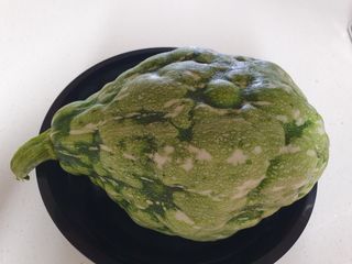 고사리9794님의 호박 · 자유게시판 작성글 사진