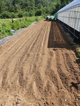 팜모닝 마늘·영농일지 게시글 이미지