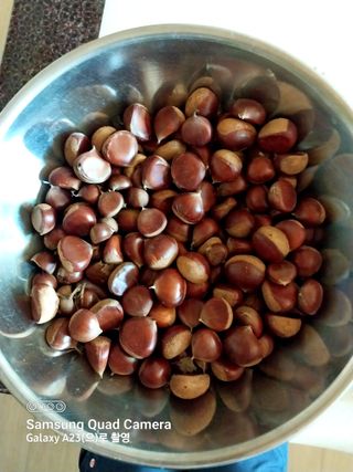 산골마님님의 기타작물 · 자유게시판 작성글 사진