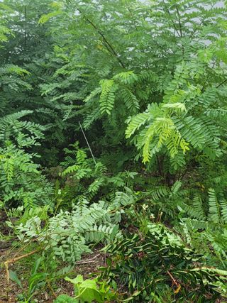 서성환님의 자유주제 · 자유게시판 작성글 사진