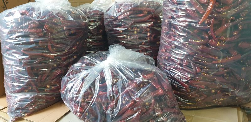 권오영님의 장터 판매 상품 [고추판매5근,10근,20근,이상] 첨부 사진