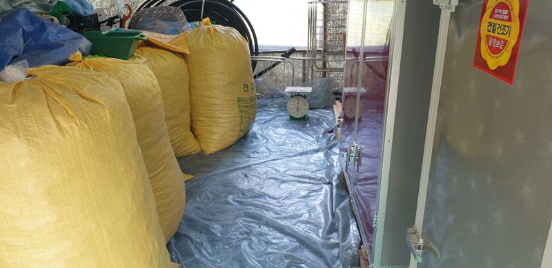 권오영님의 장터 판매 상품 [고추판매5근,10근,20근,이상] 첨부 사진