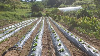 박용현 님의 9월 내 작물 자랑하기 · 참여글 작성글 사진