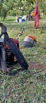 팜모닝 9월 내 작물 자랑하기·참여글 게시글 이미지