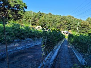 5년차 초보 농부님의 9월 내 작물 자랑하기 · 참여글 작성글 사진