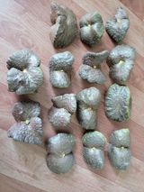 팜모닝 9월 내 작물 자랑하기·참여글 게시글 이미지