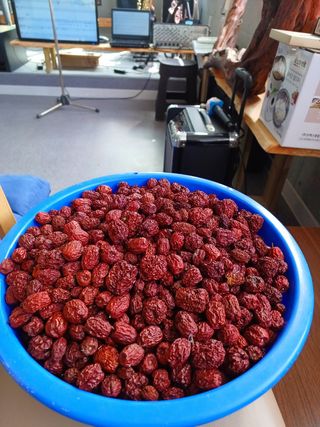 장지영님의 작성글 사진