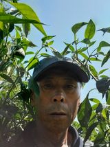 팜모닝 고추·일상 게시글 이미지