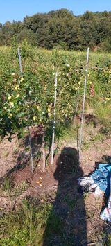 팜모닝 9월 내 작물 자랑하기·참여글 게시글 이미지