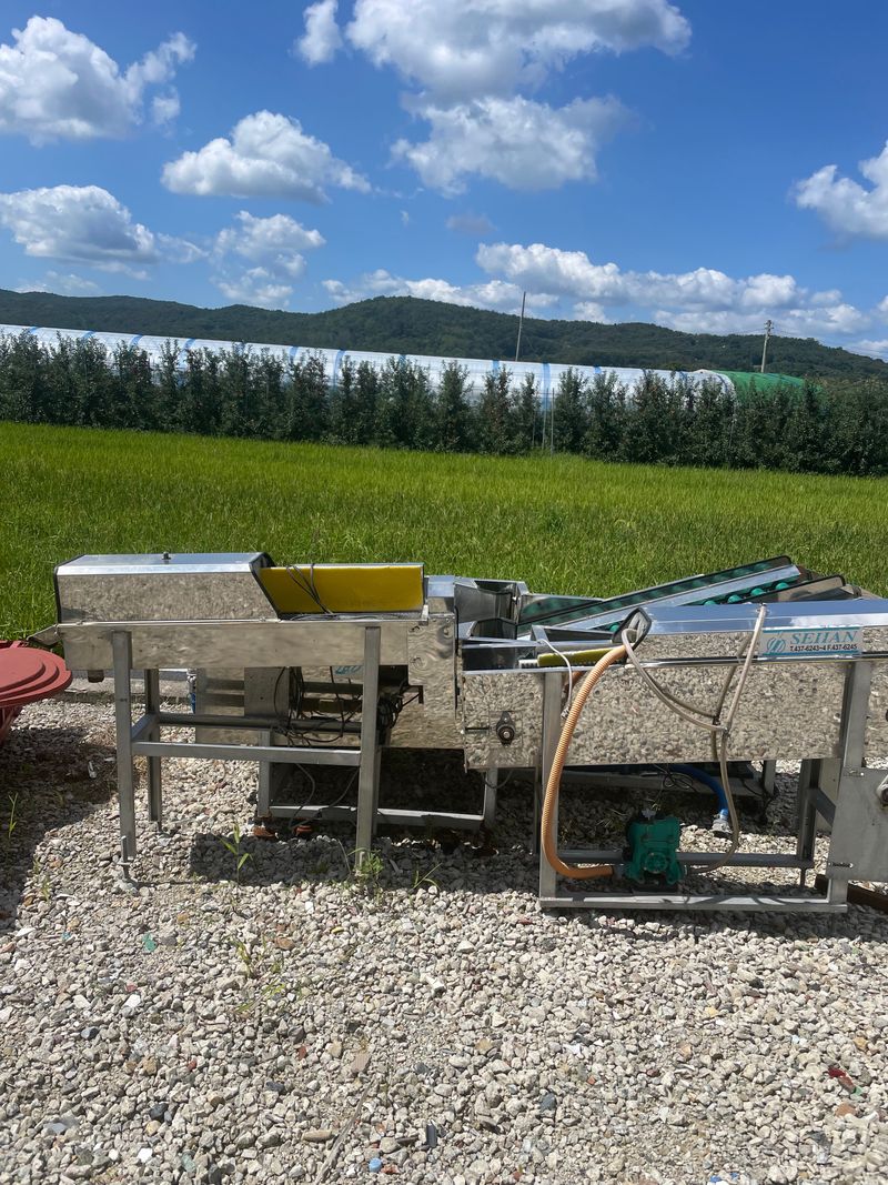 장터 상품 [과일세척기] 썸네일