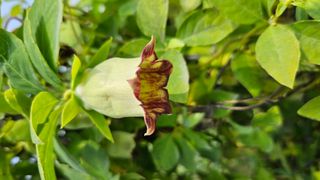 조병대님의 9월 내 작물 자랑하기 · 참여글 작성글 사진