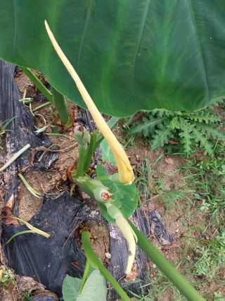 최남옥님의 자유주제 · 자유게시판 작성글 사진