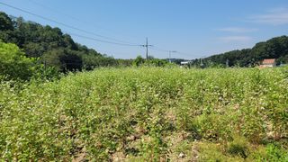 김승정님의 자유주제 · 자유게시판 작성글 사진