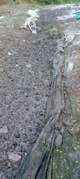 팜모닝 자유주제·자유게시판 게시글 이미지