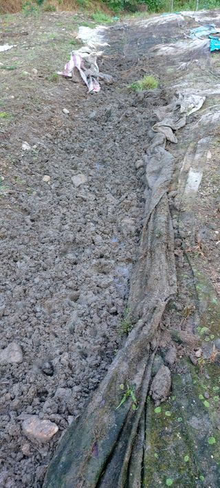 성낙신 님의 자유주제 · 자유게시판 작성글 사진