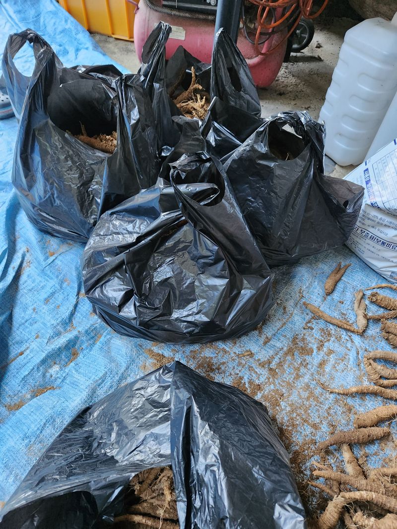 장터 상품 [더덕4키로] 썸네일