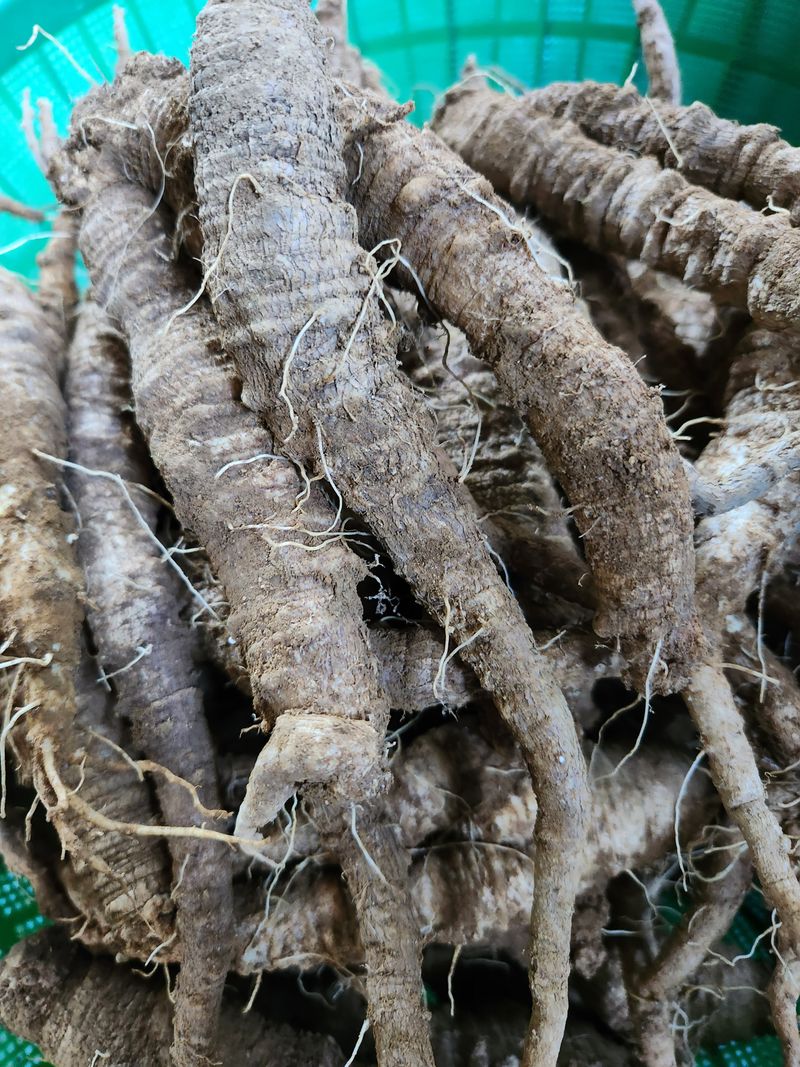 윤미선(농경채인증님의 장터 판매 상품 [더덕4키로] 첨부 사진