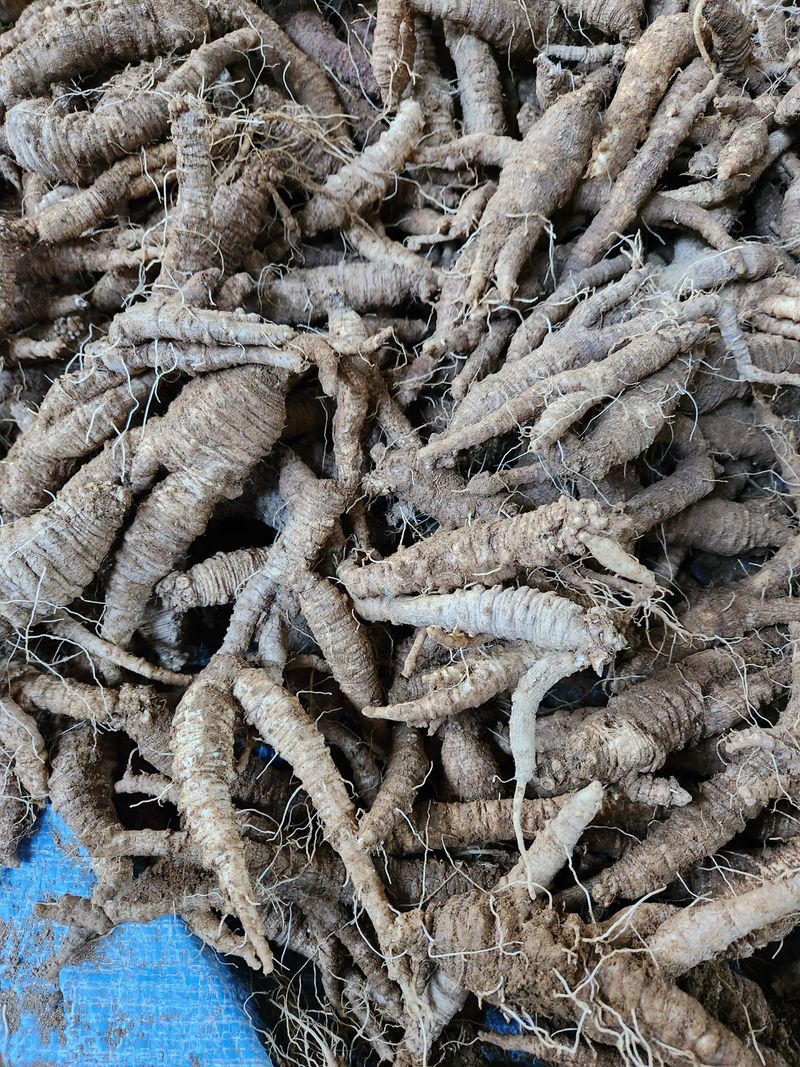 윤미선(농경채인증님의 장터 판매 상품 [더덕4키로] 첨부 사진